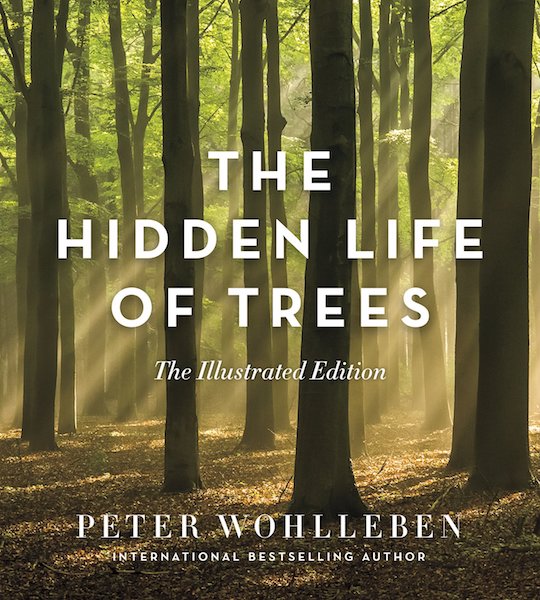 The Hidden Life Of Trees The Illustrated Edition The Well Read   Hidden Life Of Trees Illustrated Cover 