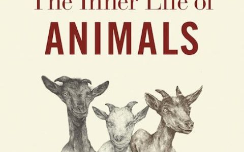 the inner life of animals