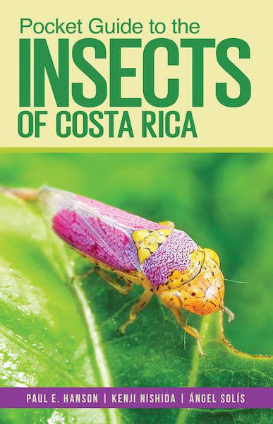 Pocket Guide to the Insects of Costa Rica – The Well-read Naturalist