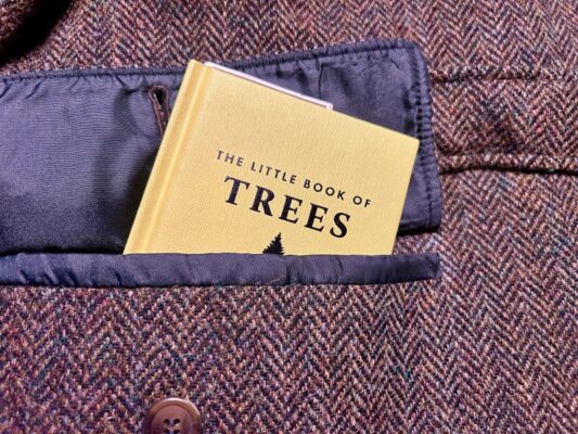 Trees in Pocket