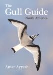 Gull Guide cover