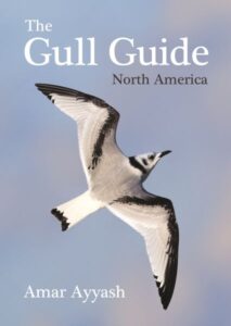 Gull Guide cover