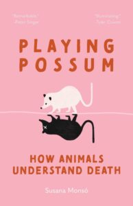 Playing Possum cover